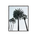 Picture of Palm Trees  _GroupedProduct_Rectangle_Portrait_Photography _GroupedProduct_Rectangle_Portrait_Canvas_Framed_