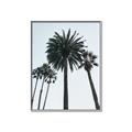 Picture of Palm Trees  _GroupedProduct_Rectangle_Portrait_Photography _GroupedProduct_Rectangle_Portrait_Canvas_Framed_