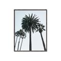 Picture of Palm Trees  _GroupedProduct_Rectangle_Portrait_Photography _GroupedProduct_Rectangle_Portrait_Canvas_Framed_