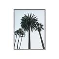Picture of Palm Trees  _GroupedProduct_Rectangle_Portrait_Photography _GroupedProduct_Rectangle_Portrait_Canvas_Framed_