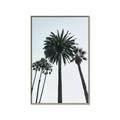Picture of Palm Trees  _GroupedProduct_Rectangle_Portrait_Photography _GroupedProduct_Rectangle_Portrait_Canvas_Framed_