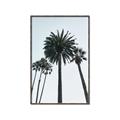 Picture of Palm Trees  _GroupedProduct_Rectangle_Portrait_Photography _GroupedProduct_Rectangle_Portrait_Canvas_Framed_