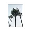 Picture of Palm Trees  _GroupedProduct_Rectangle_Portrait_Photography _GroupedProduct_Rectangle_Portrait_Canvas_Framed_