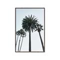 Picture of Palm Trees  _GroupedProduct_Rectangle_Portrait_Photography _GroupedProduct_Rectangle_Portrait_Canvas_Framed_