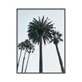 Picture of Palm Trees  _GroupedProduct_Rectangle_Portrait_Photography _GroupedProduct_Rectangle_Portrait_Canvas_Framed_