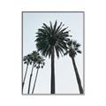 Picture of Palm Trees  _GroupedProduct_Rectangle_Portrait_Photography _GroupedProduct_Rectangle_Portrait_Canvas_Framed_