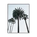 Picture of Palm Trees  _GroupedProduct_Rectangle_Portrait_Photography _GroupedProduct_Rectangle_Portrait_Canvas_Framed_