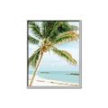 Picture of Palm Trees II _GroupedProduct_Rectangle_Portrait_Photography _GroupedProduct_Rectangle_Portrait_Canvas_Framed_