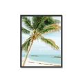 Picture of Palm Trees II _GroupedProduct_Rectangle_Portrait_Photography _GroupedProduct_Rectangle_Portrait_Canvas_Framed_