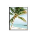 Picture of Palm Trees II _GroupedProduct_Rectangle_Portrait_Photography _GroupedProduct_Rectangle_Portrait_Canvas_Framed_