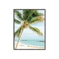 Picture of Palm Trees II _GroupedProduct_Rectangle_Portrait_Photography _GroupedProduct_Rectangle_Portrait_Canvas_Framed_