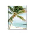 Picture of Palm Trees II _GroupedProduct_Rectangle_Portrait_Photography _GroupedProduct_Rectangle_Portrait_Canvas_Framed_