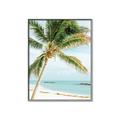 Picture of Palm Trees II _GroupedProduct_Rectangle_Portrait_Photography _GroupedProduct_Rectangle_Portrait_Canvas_Framed_