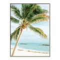 Picture of Palm Trees II _GroupedProduct_Rectangle_Portrait_Photography _GroupedProduct_Rectangle_Portrait_Canvas_Framed_