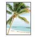Picture of Palm Trees II _GroupedProduct_Rectangle_Portrait_Photography _GroupedProduct_Rectangle_Portrait_Canvas_Framed_