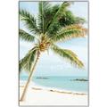 Picture of Palm Trees II _GroupedProduct_Rectangle_Portrait_Photography _GroupedProduct_Rectangle_Portrait_Canvas_Framed_