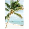 Picture of Palm Trees II _GroupedProduct_Rectangle_Portrait_Photography _GroupedProduct_Rectangle_Portrait_Canvas_Framed_