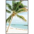 Picture of Palm Trees II _GroupedProduct_Rectangle_Portrait_Photography _GroupedProduct_Rectangle_Portrait_Canvas_Framed_