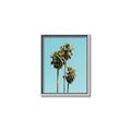 Picture of Palm Trees III _GroupedProduct_Rectangle_Portrait_Photography _GroupedProduct_Rectangle_Portrait_Canvas_Framed_