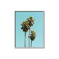 Picture of Palm Trees III _GroupedProduct_Rectangle_Portrait_Photography _GroupedProduct_Rectangle_Portrait_Canvas_Framed_