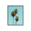 Picture of Palm Trees III _GroupedProduct_Rectangle_Portrait_Photography _GroupedProduct_Rectangle_Portrait_Canvas_Framed_