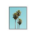 Picture of Palm Trees III _GroupedProduct_Rectangle_Portrait_Photography _GroupedProduct_Rectangle_Portrait_Canvas_Framed_