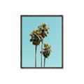 Picture of Palm Trees III _GroupedProduct_Rectangle_Portrait_Photography _GroupedProduct_Rectangle_Portrait_Canvas_Framed_