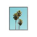 Picture of Palm Trees III _GroupedProduct_Rectangle_Portrait_Photography _GroupedProduct_Rectangle_Portrait_Canvas_Framed_