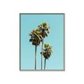 Picture of Palm Trees III _GroupedProduct_Rectangle_Portrait_Photography _GroupedProduct_Rectangle_Portrait_Canvas_Framed_
