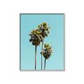 Picture of Palm Trees III _GroupedProduct_Rectangle_Portrait_Photography _GroupedProduct_Rectangle_Portrait_Canvas_Framed_