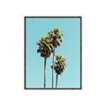 Picture of Palm Trees III _GroupedProduct_Rectangle_Portrait_Photography _GroupedProduct_Rectangle_Portrait_Canvas_Framed_