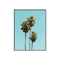 Picture of Palm Trees III _GroupedProduct_Rectangle_Portrait_Photography _GroupedProduct_Rectangle_Portrait_Canvas_Framed_