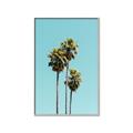 Picture of Palm Trees III _GroupedProduct_Rectangle_Portrait_Photography _GroupedProduct_Rectangle_Portrait_Canvas_Framed_