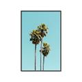 Picture of Palm Trees III _GroupedProduct_Rectangle_Portrait_Photography _GroupedProduct_Rectangle_Portrait_Canvas_Framed_