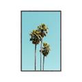 Picture of Palm Trees III _GroupedProduct_Rectangle_Portrait_Photography _GroupedProduct_Rectangle_Portrait_Canvas_Framed_