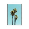 Picture of Palm Trees III _GroupedProduct_Rectangle_Portrait_Photography _GroupedProduct_Rectangle_Portrait_Canvas_Framed_