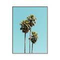 Picture of Palm Trees III _GroupedProduct_Rectangle_Portrait_Photography _GroupedProduct_Rectangle_Portrait_Canvas_Framed_