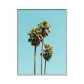 Picture of Palm Trees III _GroupedProduct_Rectangle_Portrait_Photography _GroupedProduct_Rectangle_Portrait_Canvas_Framed_