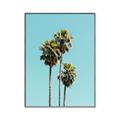 Picture of Palm Trees III _GroupedProduct_Rectangle_Portrait_Photography _GroupedProduct_Rectangle_Portrait_Canvas_Framed_