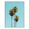 Picture of Palm Trees III _GroupedProduct_Rectangle_Portrait_Photography _GroupedProduct_Rectangle_Portrait_Canvas_Framed_