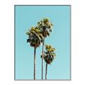 Picture of Palm Trees III _GroupedProduct_Rectangle_Portrait_Photography _GroupedProduct_Rectangle_Portrait_Canvas_Framed_