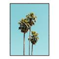 Picture of Palm Trees III _GroupedProduct_Rectangle_Portrait_Photography _GroupedProduct_Rectangle_Portrait_Canvas_Framed_