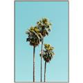 Picture of Palm Trees III _GroupedProduct_Rectangle_Portrait_Photography _GroupedProduct_Rectangle_Portrait_Canvas_Framed_