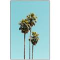 Picture of Palm Trees III _GroupedProduct_Rectangle_Portrait_Photography _GroupedProduct_Rectangle_Portrait_Canvas_Framed_