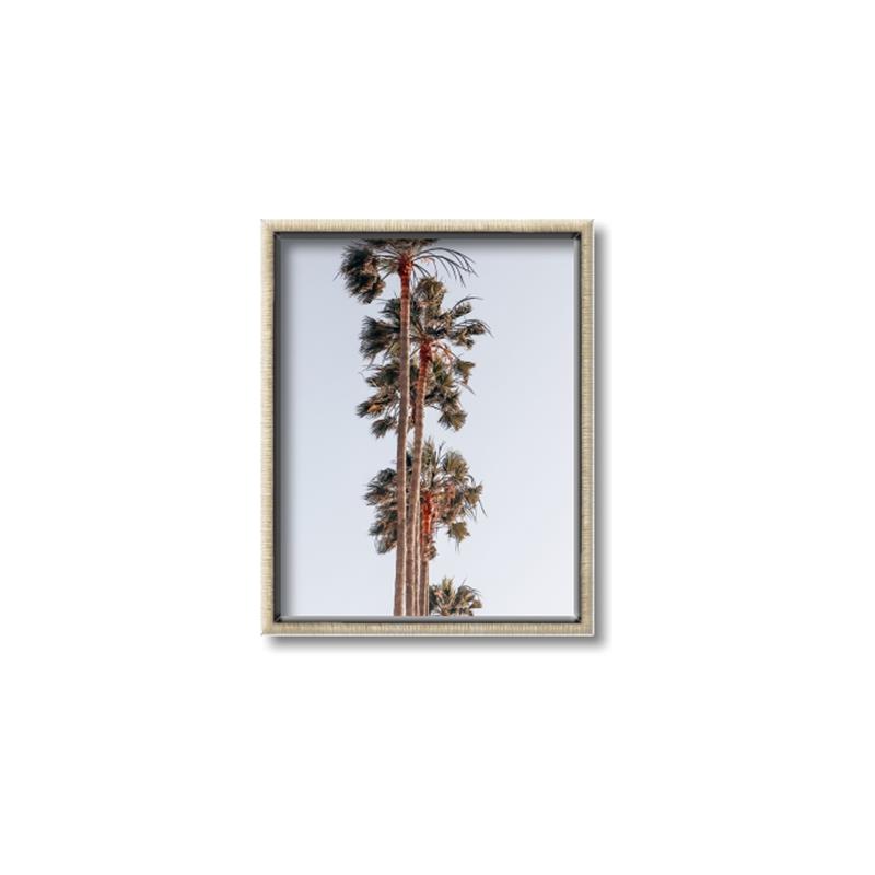 Picture of Palm Trees IV _GroupedProduct_Rectangle_Portrait_Photography _GroupedProduct_Rectangle_Portrait_Canvas_Framed_
