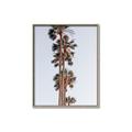 Picture of Palm Trees IV _GroupedProduct_Rectangle_Portrait_Photography _GroupedProduct_Rectangle_Portrait_Canvas_Framed_