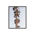 Picture of Palm Trees IV _GroupedProduct_Rectangle_Portrait_Photography _GroupedProduct_Rectangle_Portrait_Canvas_Framed_