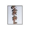 Picture of Palm Trees IV _GroupedProduct_Rectangle_Portrait_Photography _GroupedProduct_Rectangle_Portrait_Canvas_Framed_