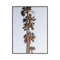 Picture of Palm Trees IV _GroupedProduct_Rectangle_Portrait_Photography _GroupedProduct_Rectangle_Portrait_Canvas_Framed_