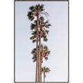 Picture of Palm Trees IV _GroupedProduct_Rectangle_Portrait_Photography _GroupedProduct_Rectangle_Portrait_Canvas_Framed_